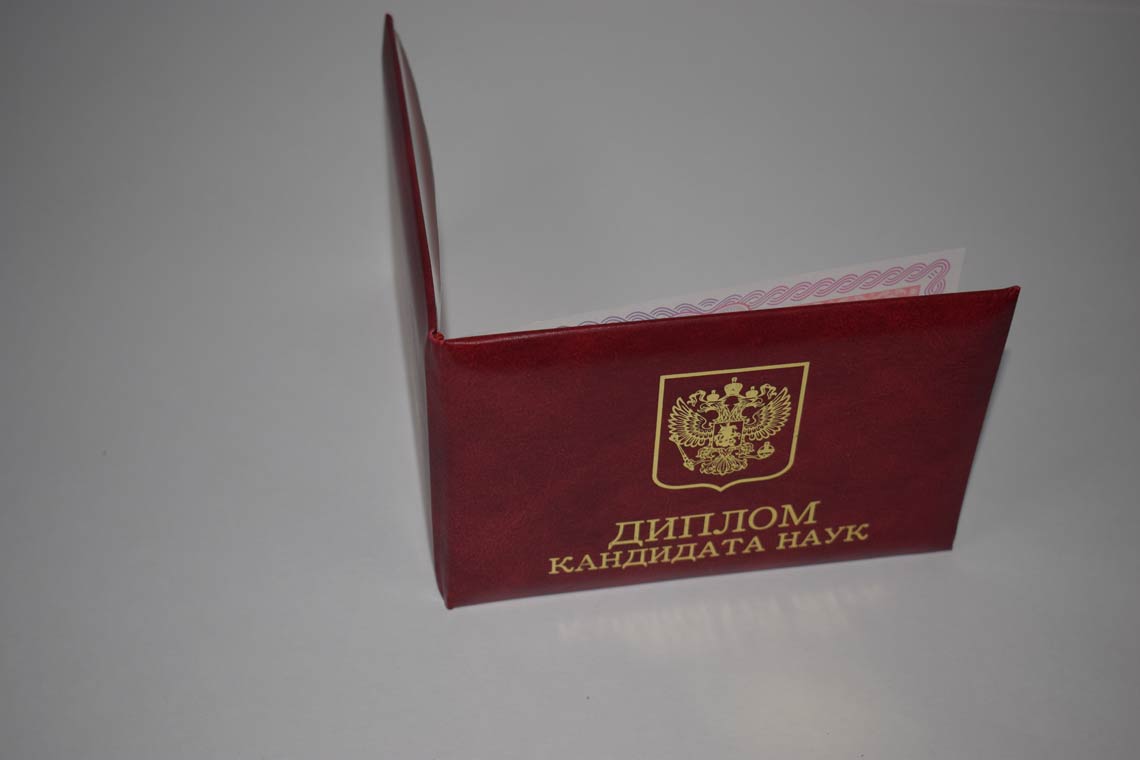 Диплом Кандидата Наук 2013-2016 в Иркутске корка
