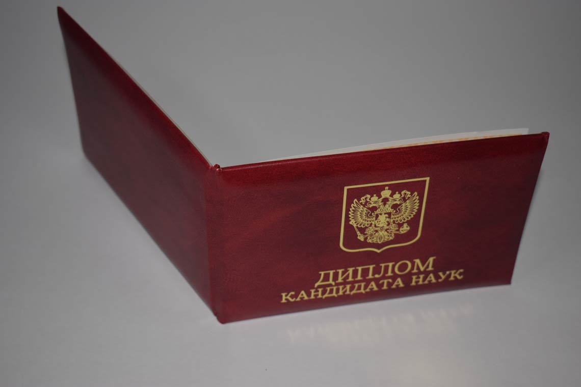 Диплом Кандидата Наук 2017-2025 в Иркутске корка